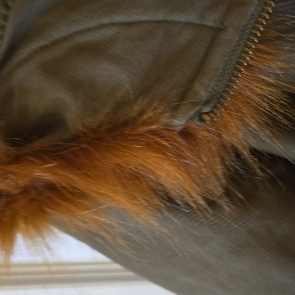 Green jacket - Picture 3 of 6